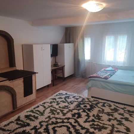 Casa Bucovina Dorna Candrenilor Ascutitele Eksteriør billede