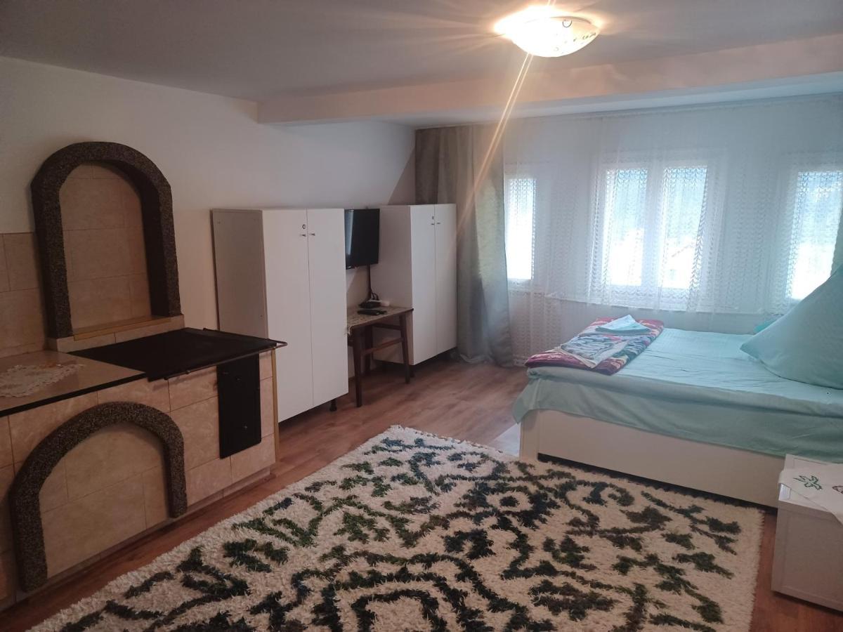 Casa Bucovina Dorna Candrenilor Ascutitele Eksteriør billede