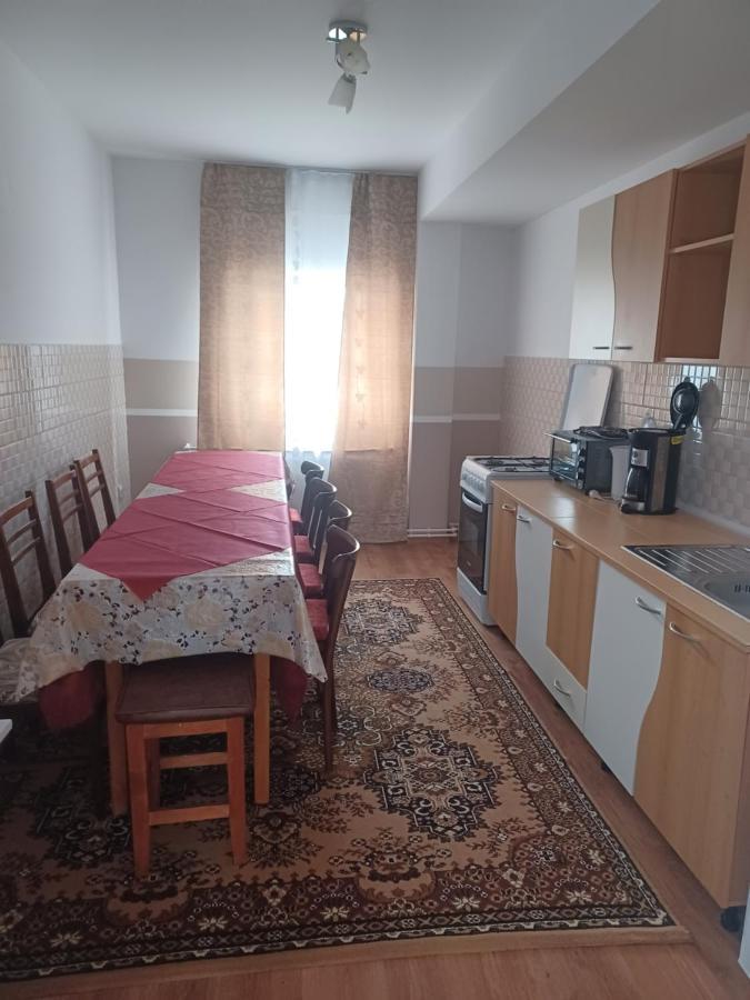 Casa Bucovina Dorna Candrenilor Ascutitele Eksteriør billede